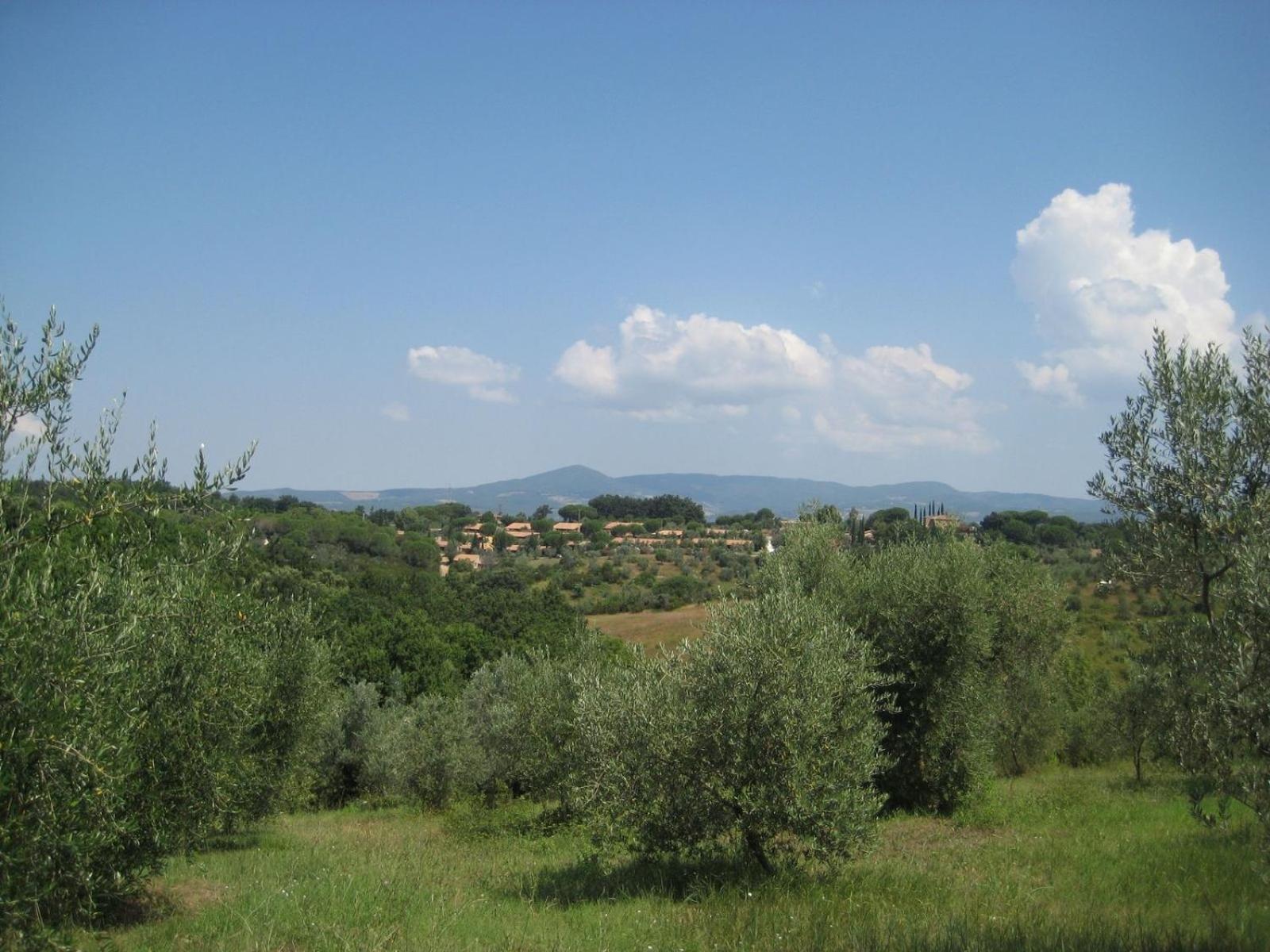 Il Borgo Centro Vacanze Guardistallo Exterior foto