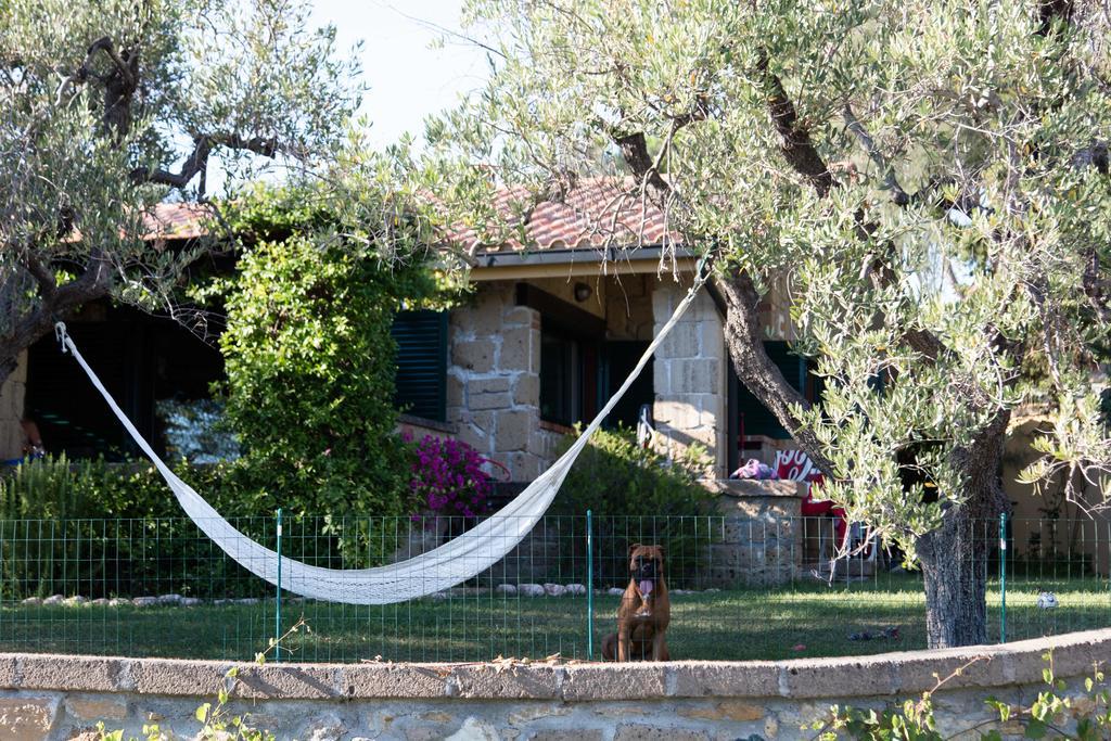 Il Borgo Centro Vacanze Guardistallo Exterior foto